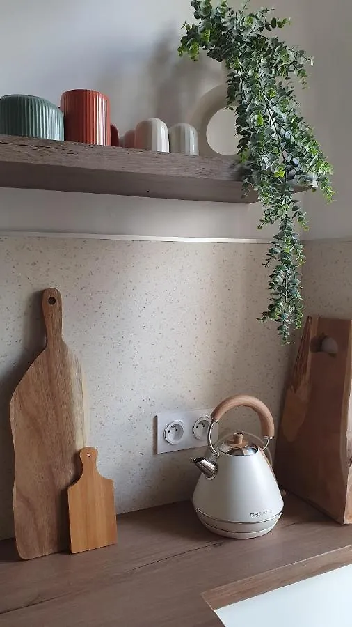 Appartement Au Calme T3 Rdc - Quartier De France Vichy France